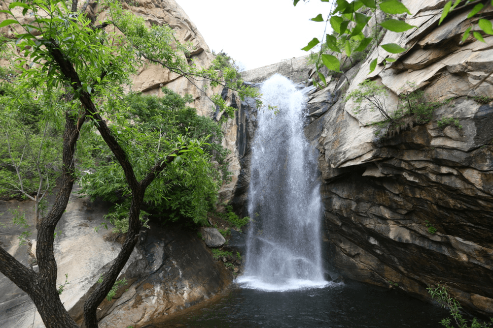 绝对红人，学习之旅的蜕变与自信成就感的碰撞