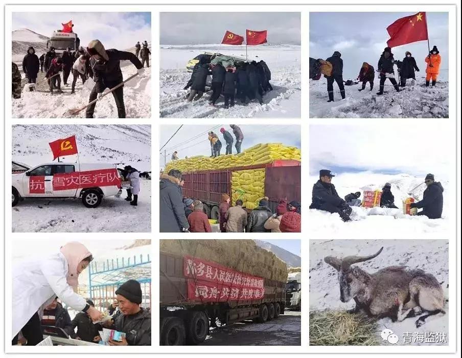 东北地震最新消息，温情友情与地震动态交织的故事