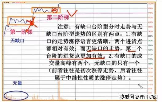 2024澳门天天彩期期精准,科学分析解释说明_Allergo版(意为轻快)22.848