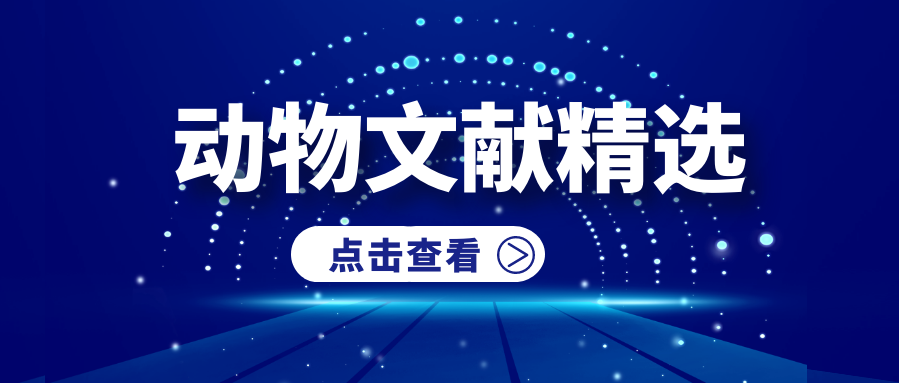 新奥天天免费资料大全,深度研究解析_影像版22.971