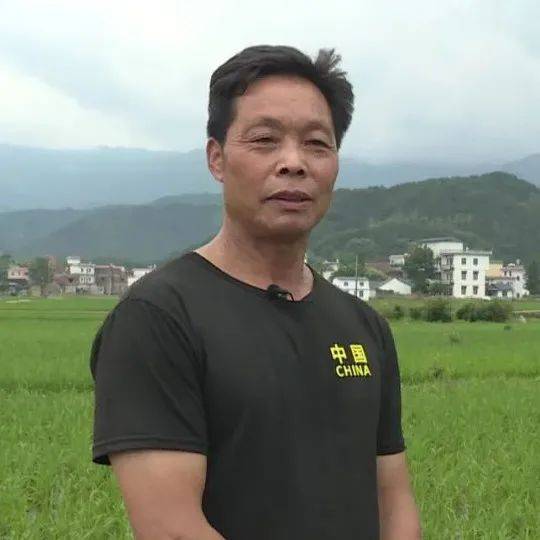 广西辅警改革全面指南,最新消息与改革步骤