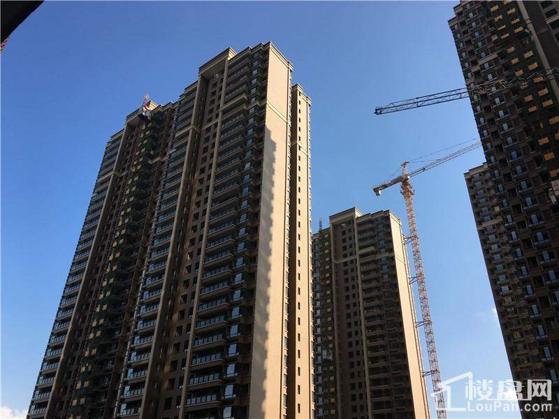 南宁隆源华府最新进展,稳固计划实施_安全版23.271