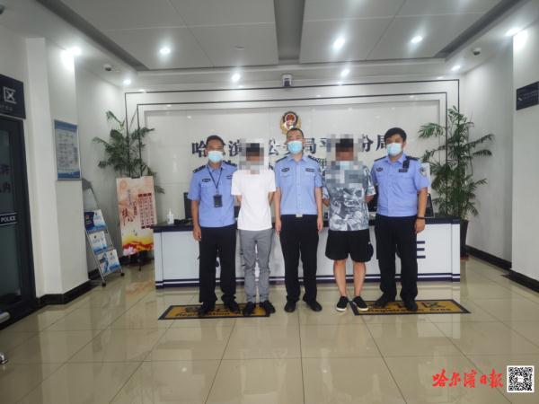 平房区最新招聘信息网,安全性方案执行_原型版23.905