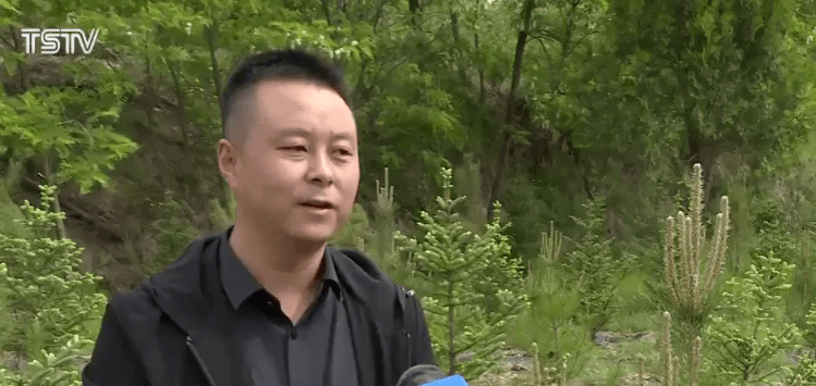 慕雅哲云诗诗最新章节,推动策略优化_明星版23.743