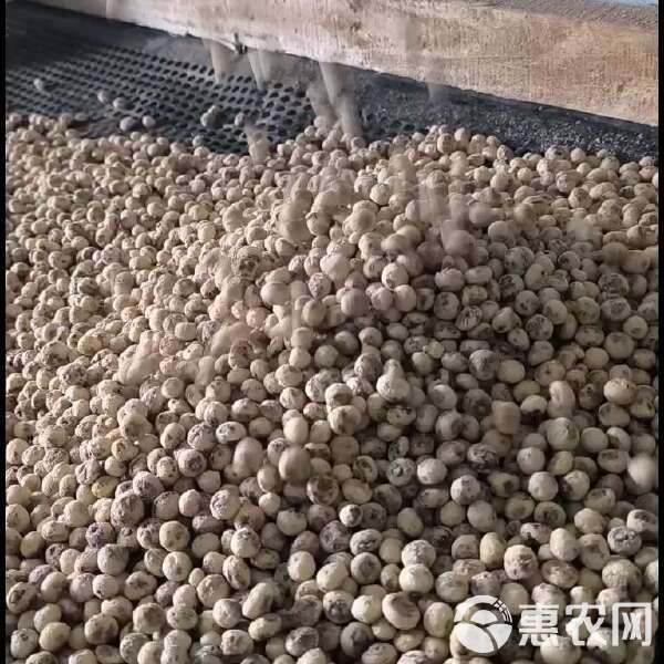 最新的油沙豆市场价格,最新答案诠释说明_物联网版23.484