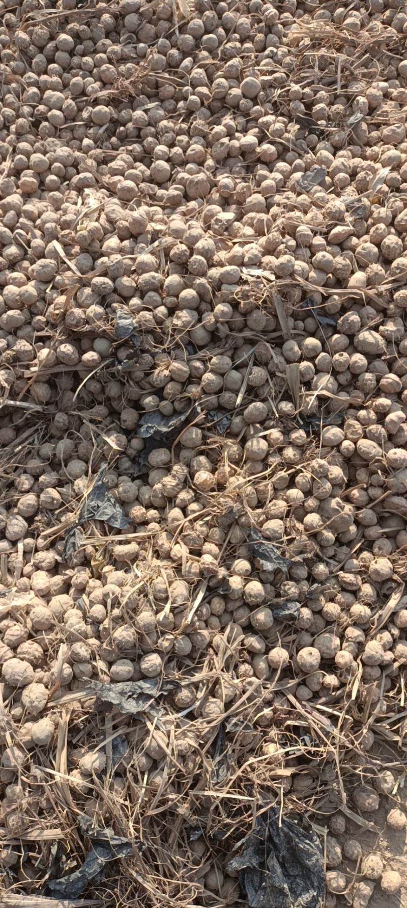 最新的油沙豆市场价格,最新答案诠释说明_物联网版23.484