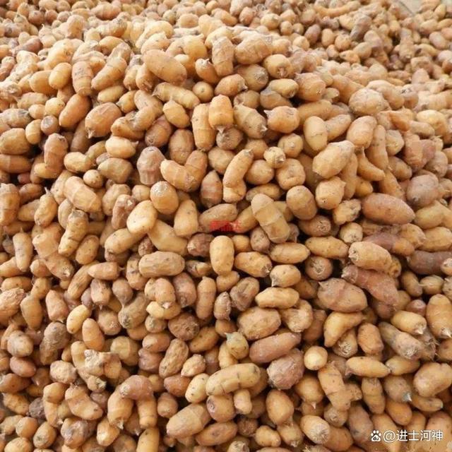 最新的油沙豆市场价格,最新答案诠释说明_物联网版23.484