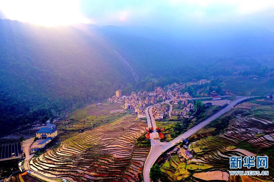 破茧成蝶,辉煌旅程的励志故事