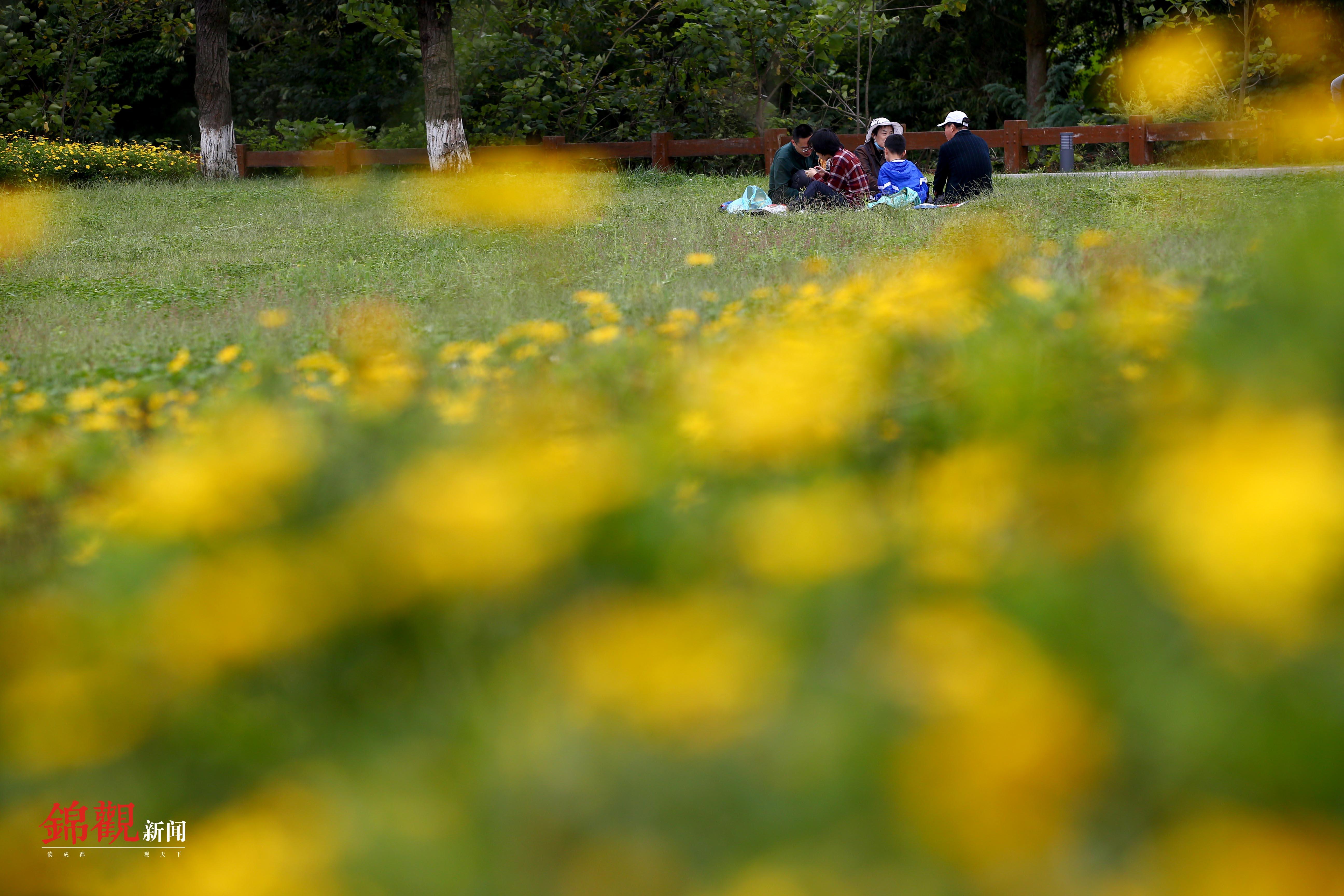 青龙湖二期最新消息,现况评判解释说法_收藏版23.315