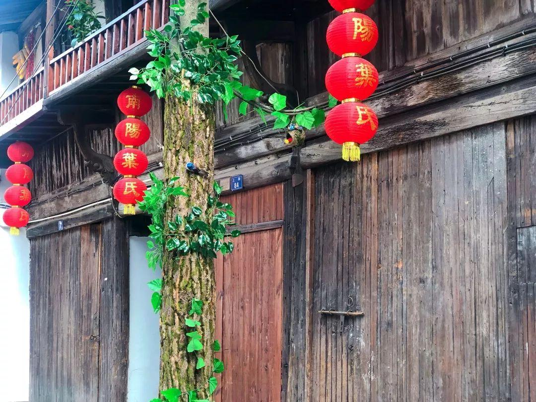 开启智慧之旅,最新福利免费观看,自信与成就感的源泉