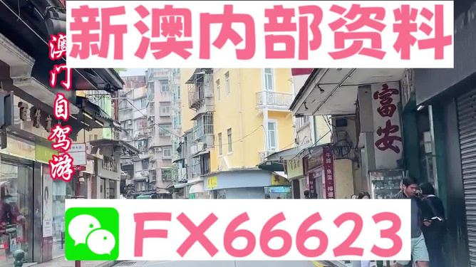 新澳精准资料免费提供,实地数据验证_无线版48.839