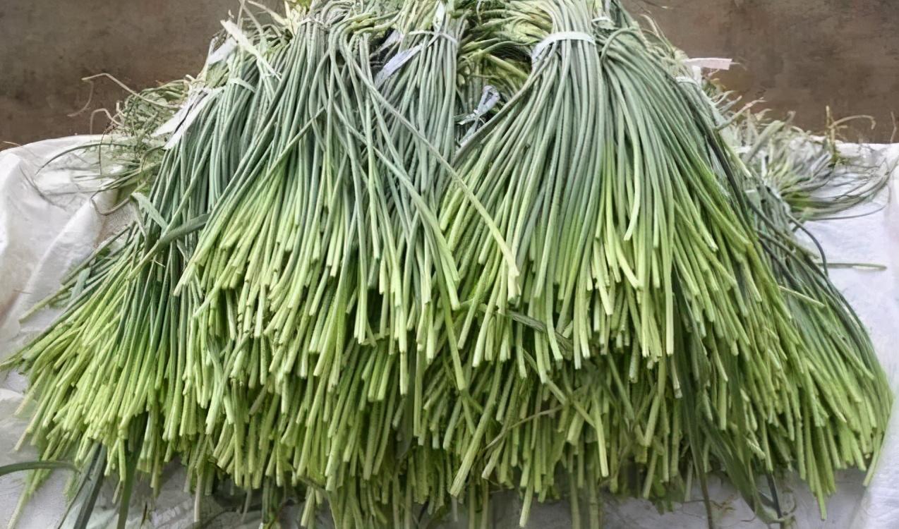 蒜薹价格最新行情，市场波动引发的观点碰撞