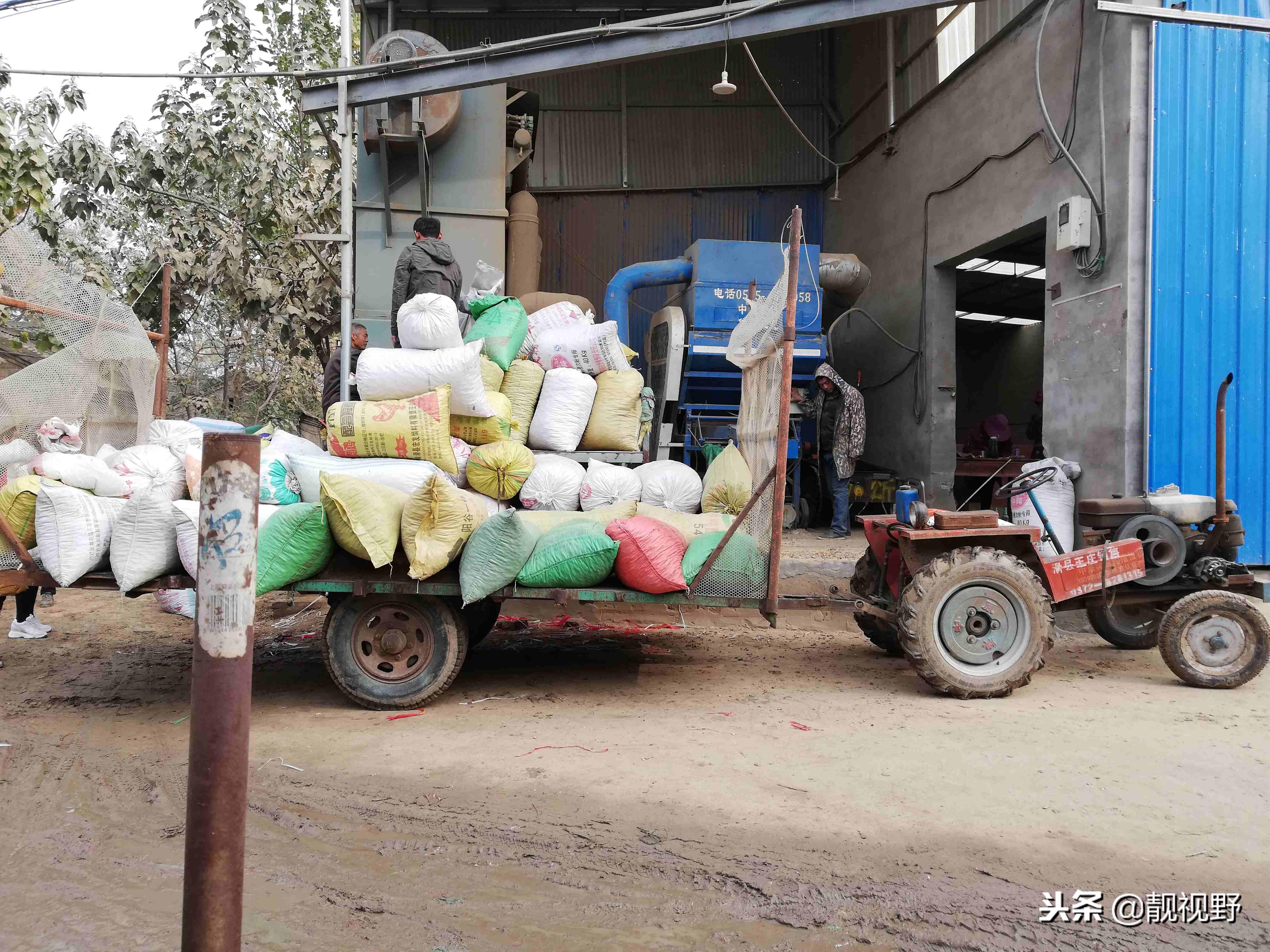今日花生果最新价格，自然美景下的旅行探索之旅