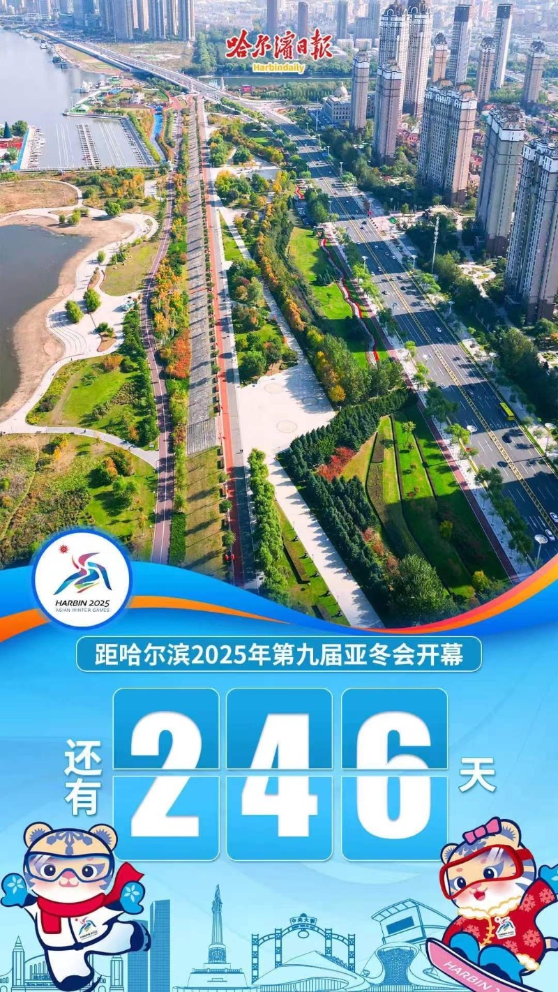 2025天天彩正版资料大全,数据引导设计方法_简易版18.246