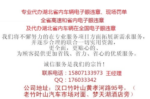 新澳2025年开奖记录,高速应对逻辑_授权版13.931