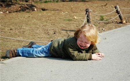 肌营养不良最新消息，自然美景中的旅行探索与内心力量的寻找