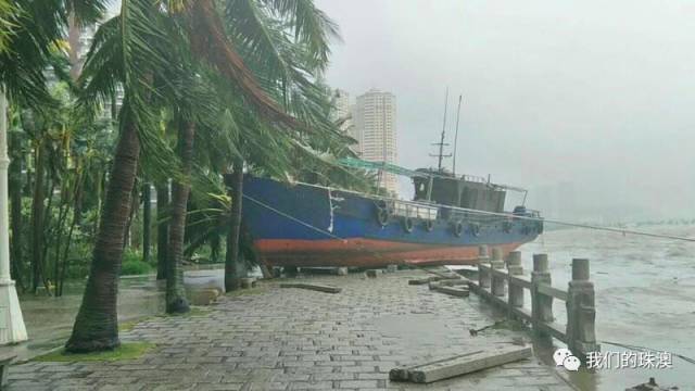 汕头最新台风下的温馨日常记录
