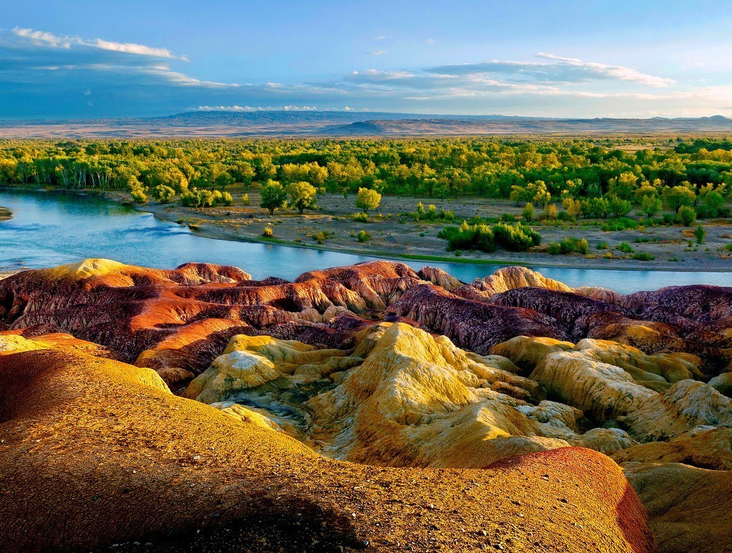 外科最新版，自然美景的探索之旅