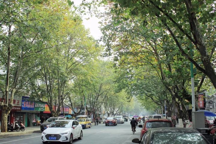 常德小巷深处的独特风味最新消息