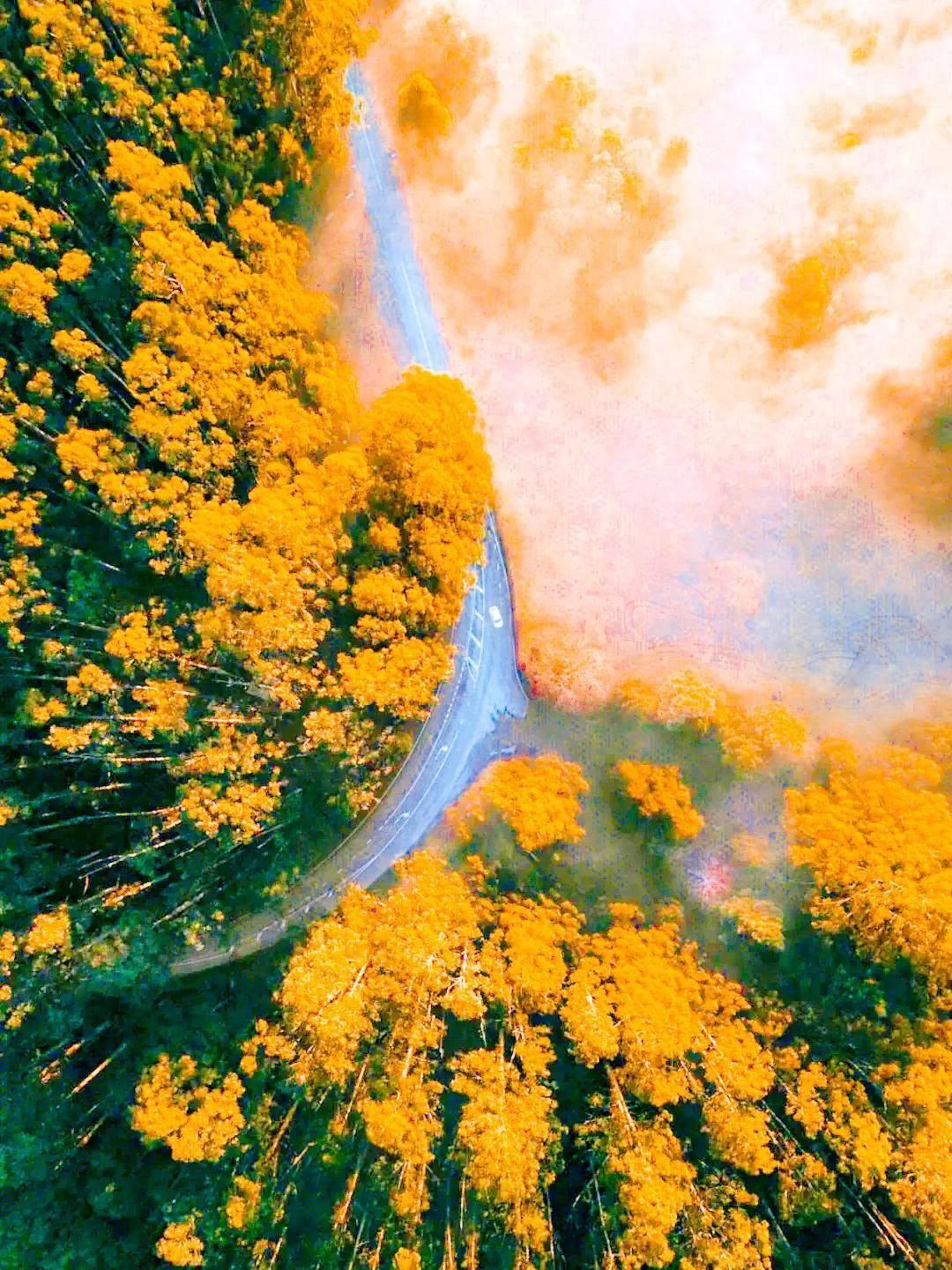 最新航拍图,自然美景的轻松探索之旅