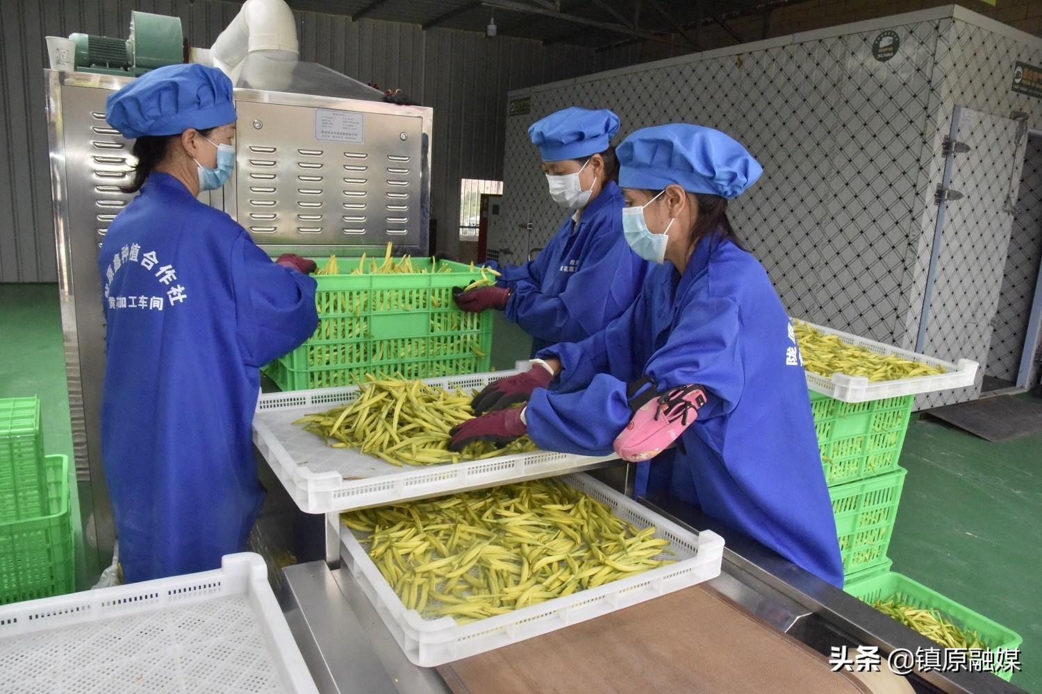 最新癫痫治疗方法,希望之光照亮康复之路