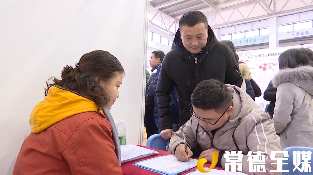 常德最新招聘信息，岗位更新与友情故事的交织