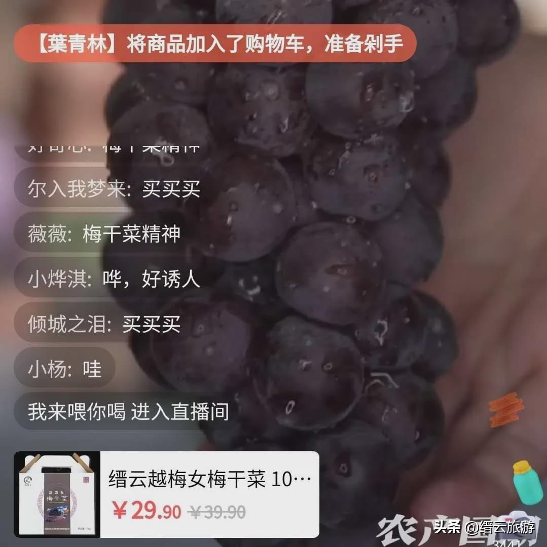 主播最新视频,心灵与自然的启程,寻找内心的平静与喜悦之旅