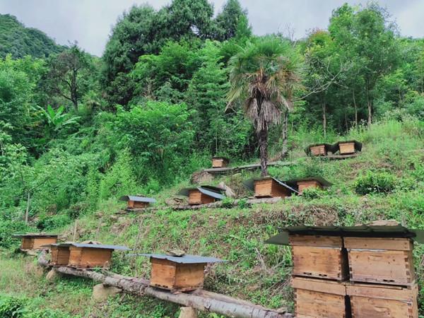 武都最新招聘观点论述与招聘信息更新