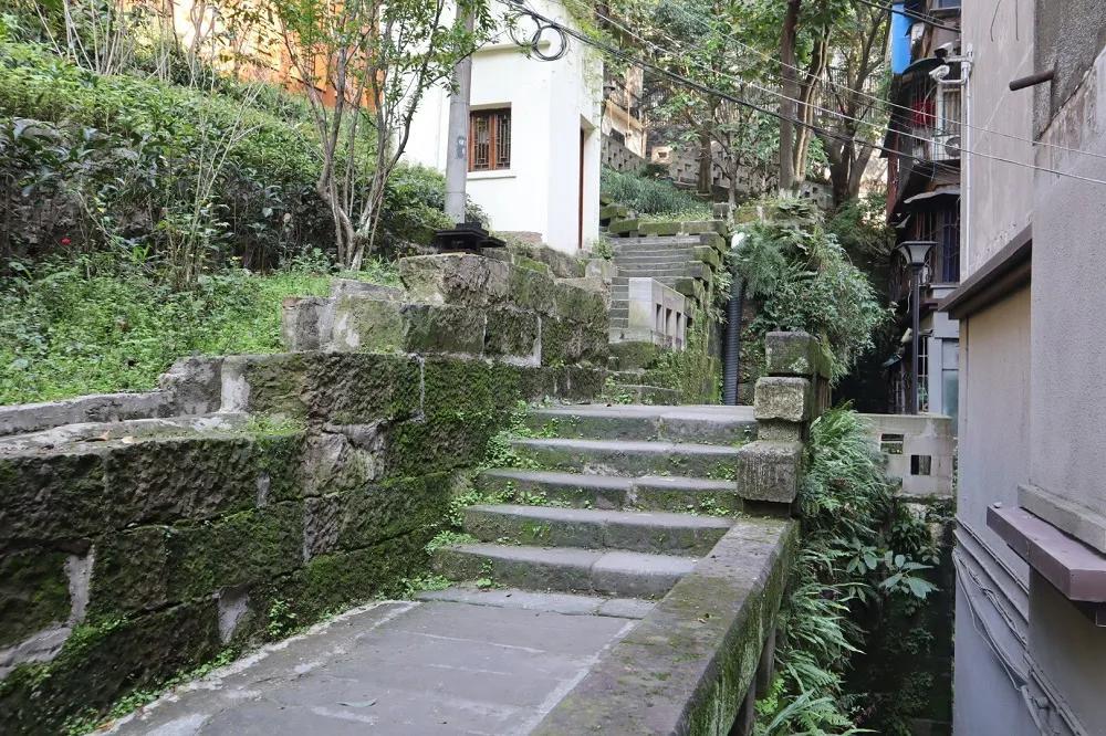 最新生存游戏揭秘，小巷神秘乐园探险之旅