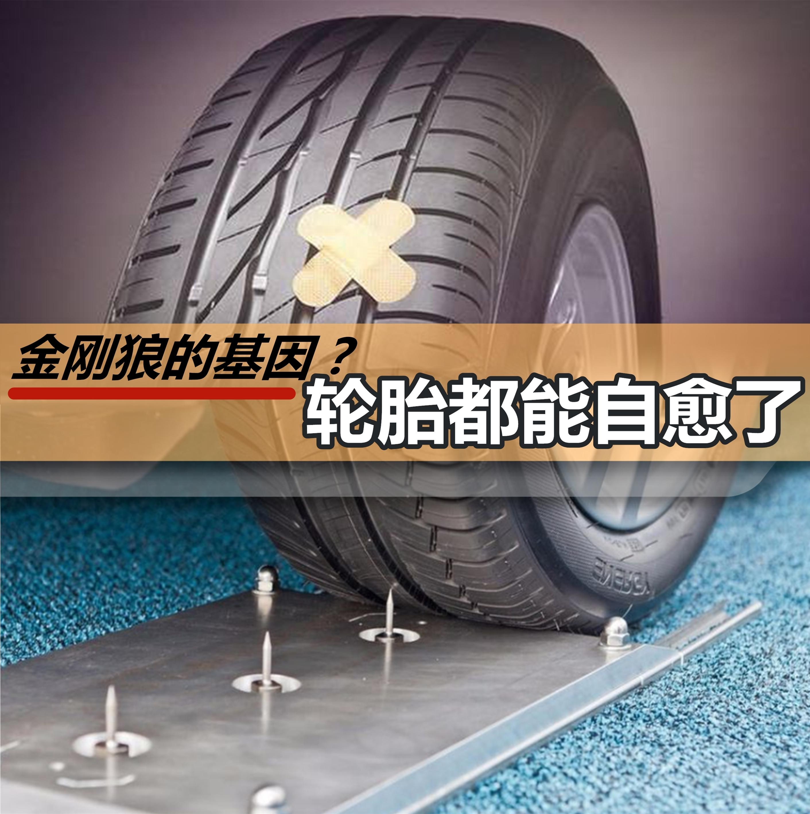 轮胎行业最新动态，趋势、争议与前景展望