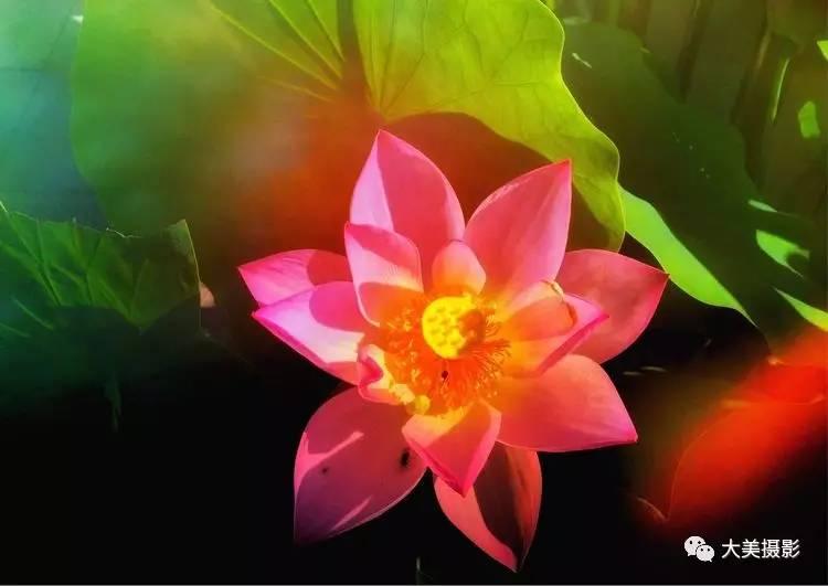 网贷之家P2P最新排名，心灵与自然的双重探索之旅