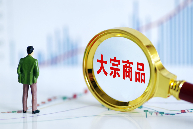 世界最新电影，高科技革新之旅，未来生活新纪元体验