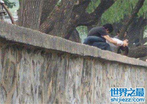 最新门事件在线观看,关于最新门事件在线观看的探讨