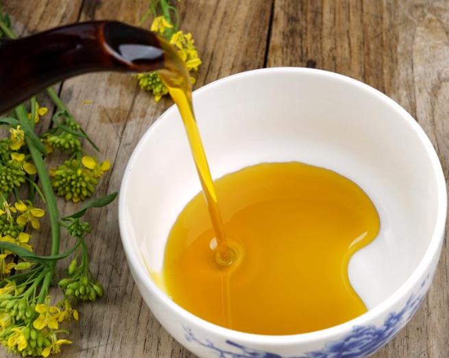 湖北菜籽最新价格行情及分析概述