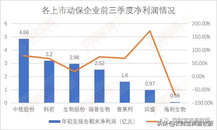 海利生物最新动态，日常温馨与友情陪伴的力量