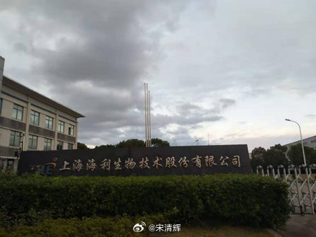 海利生物最新动态,日常温馨与友情陪伴的力量