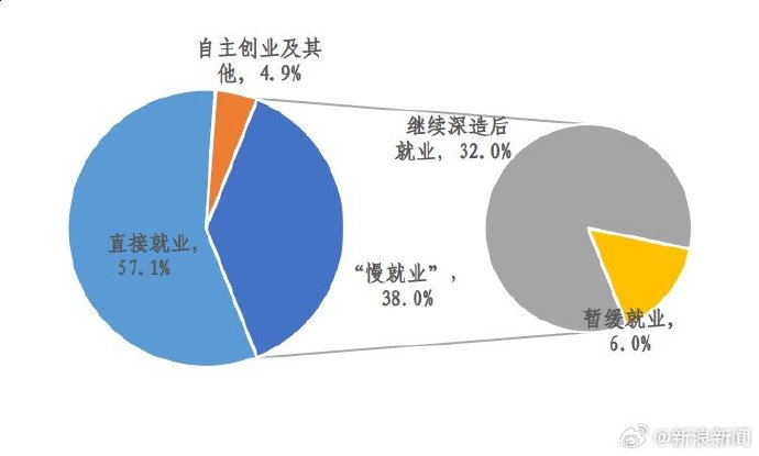 最新自主择业涨工资,影响、观点与立场分析