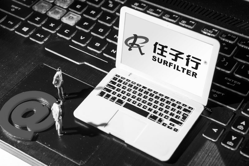 任子行最新动态全面解析与观点阐述