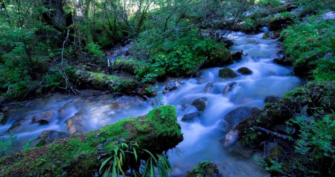 蘑菇街上市,共舞自然的电商之旅