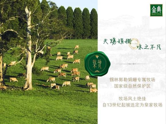 探索科技前沿的黄金投资新纪元，黄金股票股份一览表