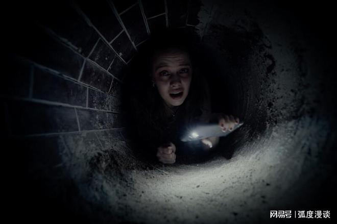 国内最新惊悚电影深度解析与观点阐述