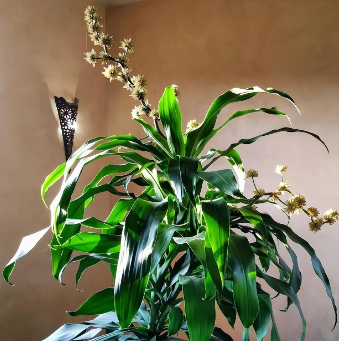 电影颜色,电影颜色,深入探究其影响与意义