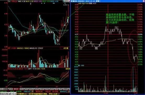 揭秘000099股票,投资潜力与策略解析