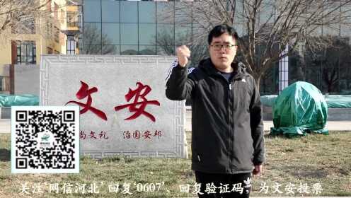 河北文安最新资讯更新快报