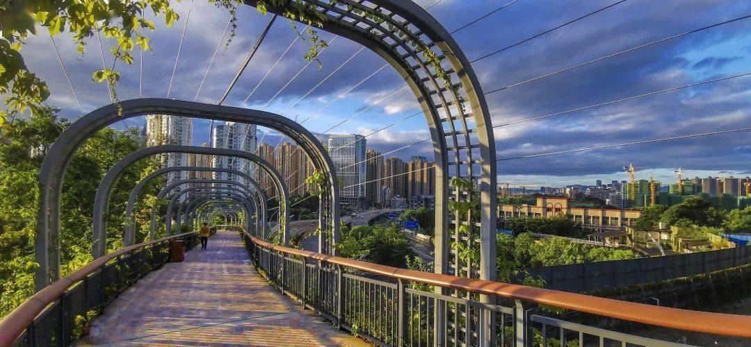 蓝海瑞园最新动态,自然美景的探索之旅,寻求内心的平和与宁静