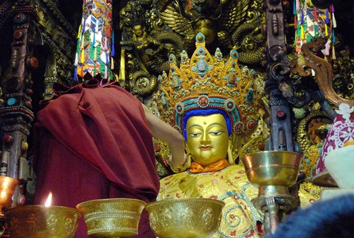 林口疫情最新动态及心灵之旅启程,大自然的呼唤