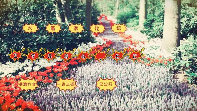 一站式城市服务平台 第138页