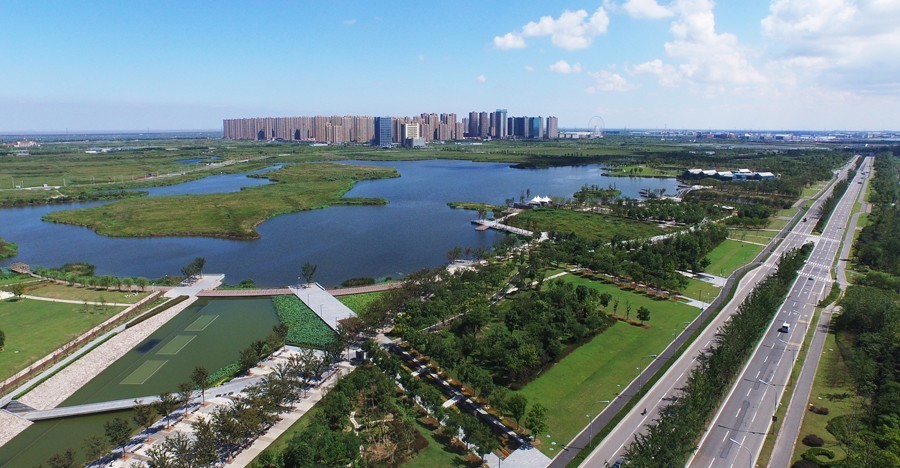 天津巡视组最新动态及步骤指南揭秘