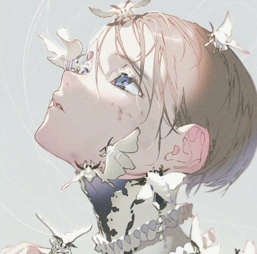 动漫头图,审美、情感与文化的碰撞与交融