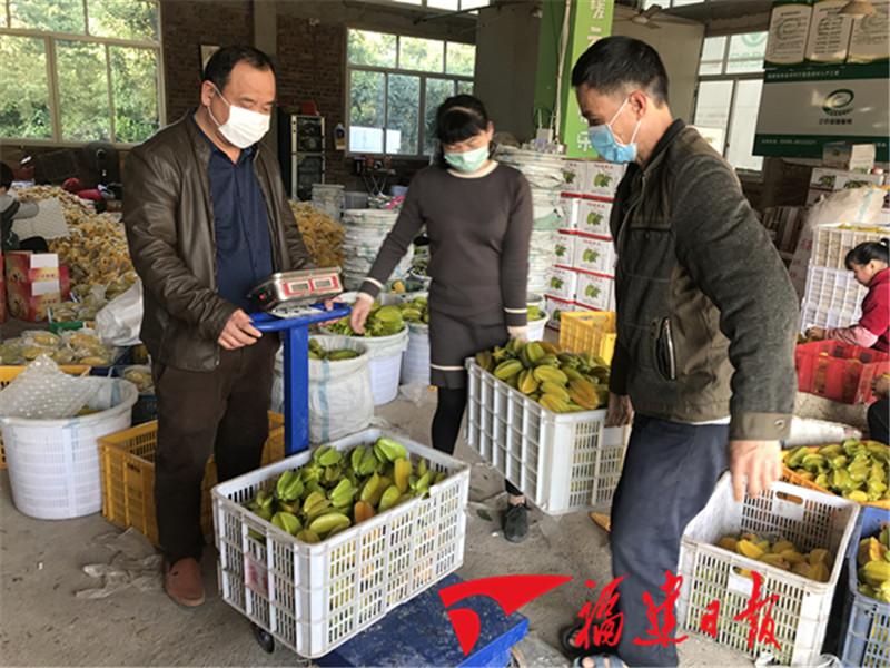 杨桃价格走势分析,多元观点探讨下的市场趋势